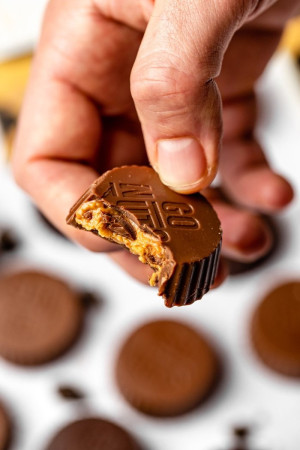 Pack x4 Palets Chocolat Lait & Beurre de Cacahuètes Bio | Go Nuts